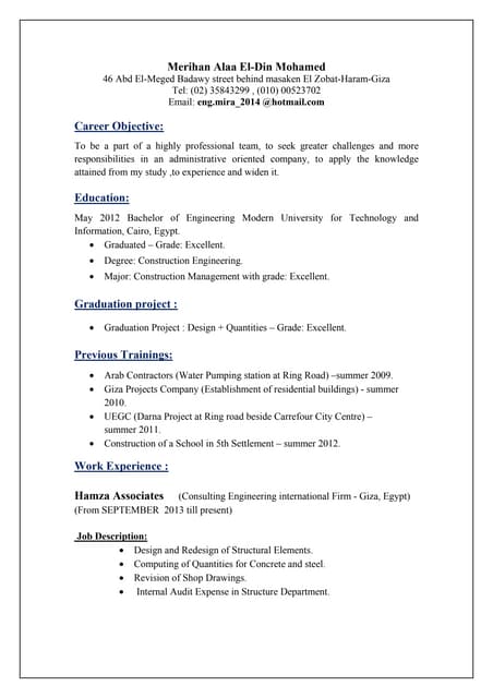 Merihan Alaa presentations