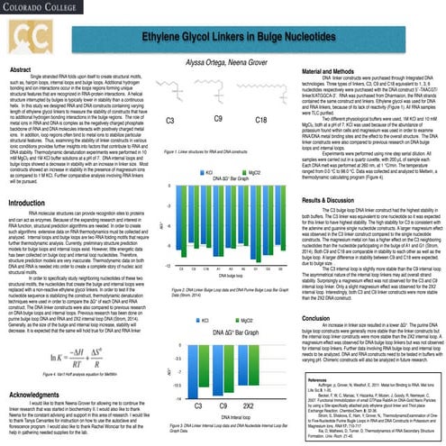 alyssa poster senior 