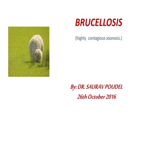 brucellosis