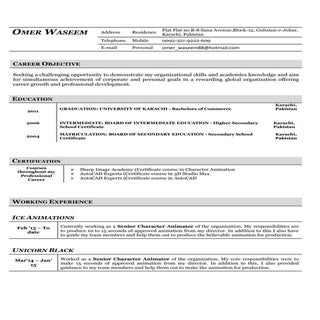 Omer Waseem Resume