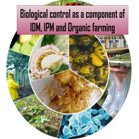 Biocontrol Integrated Disease Management, IPM.pptx