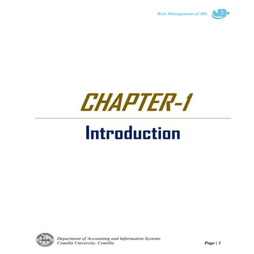 Internship Report on Risk Management Assessment of JBL | PDF