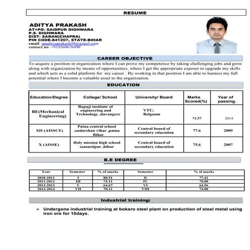 latest updated CV | PDF
