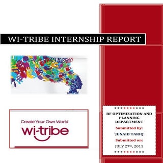 internship report