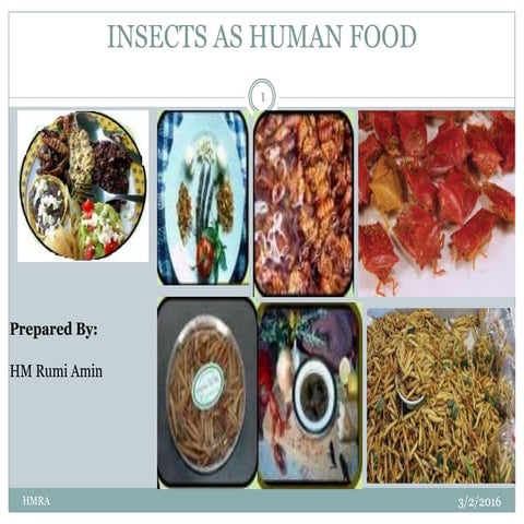 Insects as Human Food