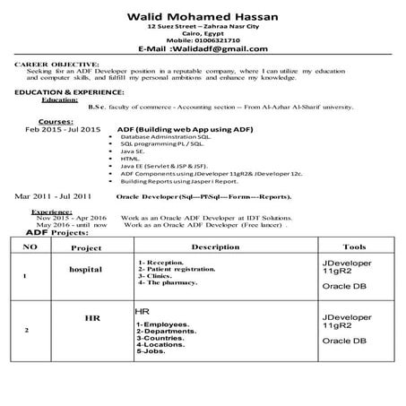 Walid Mohamed Hassan