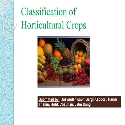 0_Classification%20of%20Horticultural%20Crops%20%20jatinnnnn.pptx