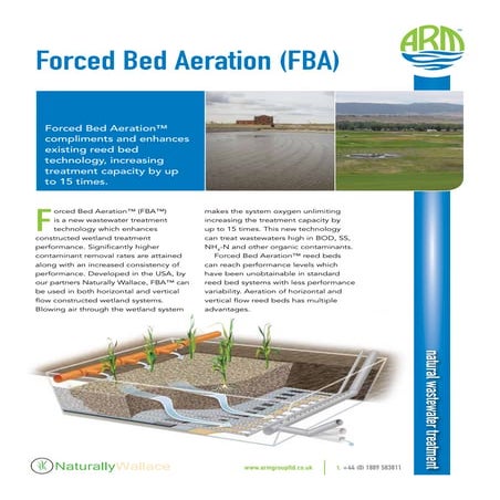 Reed bed technology | PDF