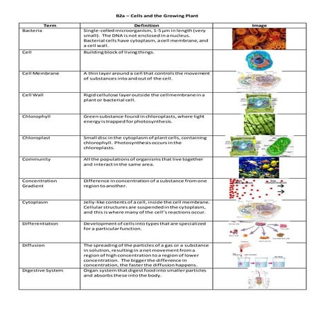 GCSE BIOLOGY TERMS visual data 6