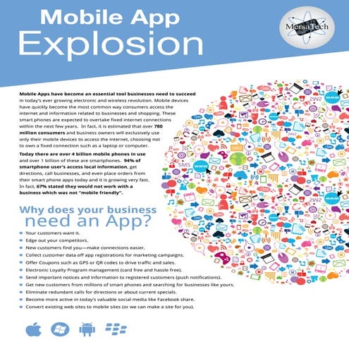 11.App Flyer