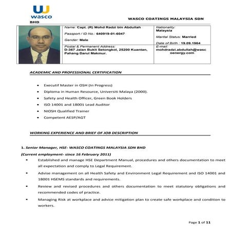 HSE Manager CV | PDF