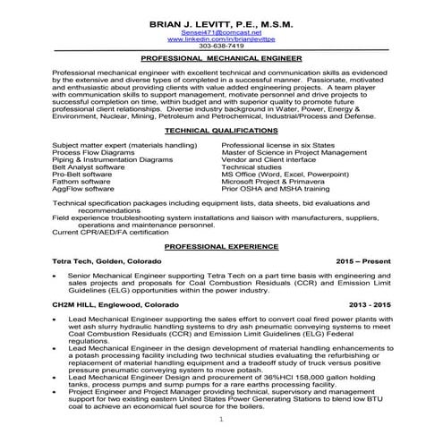 B Levitt Resume 03_16_2