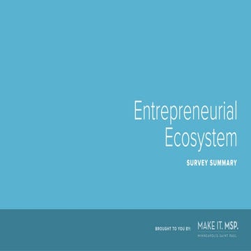 Startup Ecosystem Survey_Make It MSP_Beta