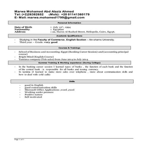 CV NAGLAA | PDF