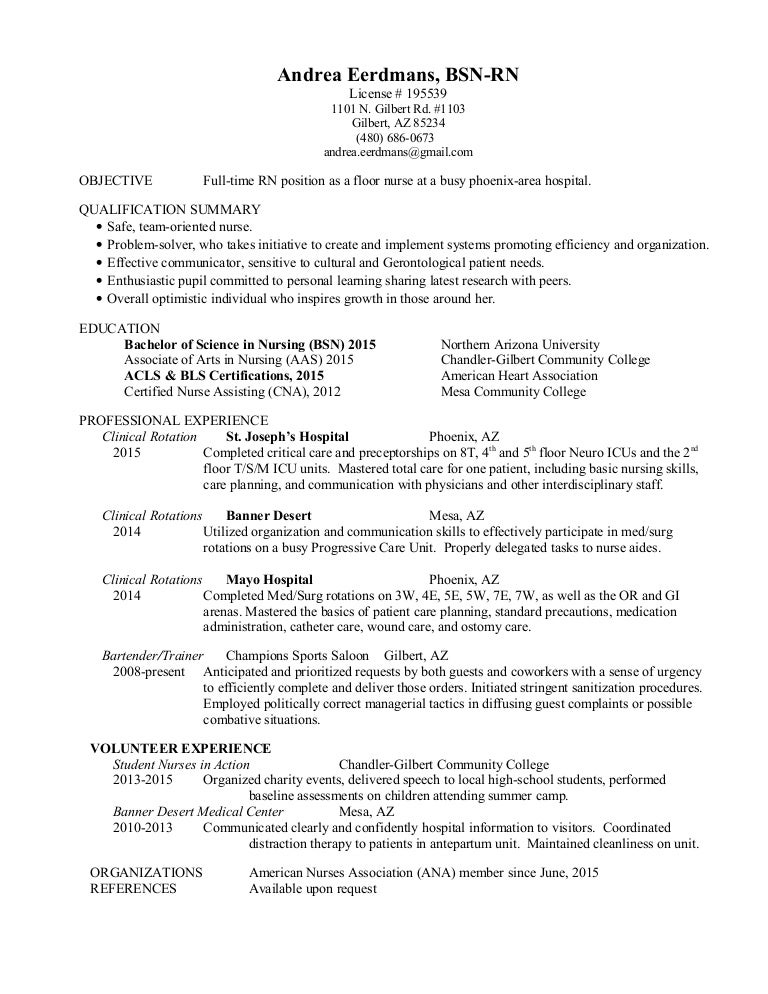 Andrea Eerdmans Resume
