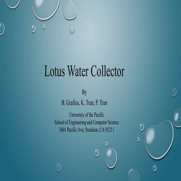 Lotus Water CollectoR NEW
