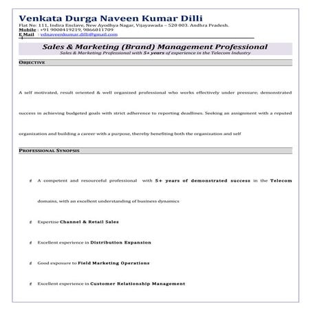 Nikhil Kumar resume | PDF