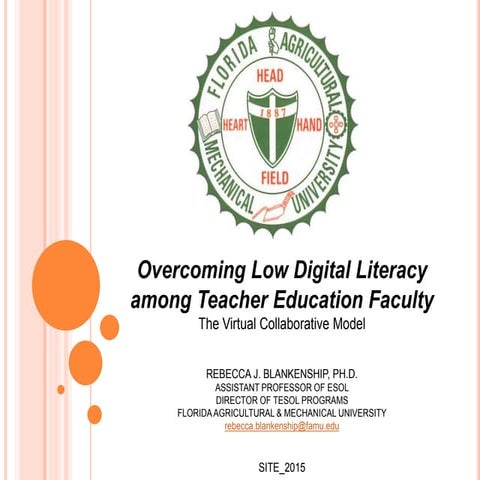 Inclusive On-line Learning Environments. New Approaches and Possible ...