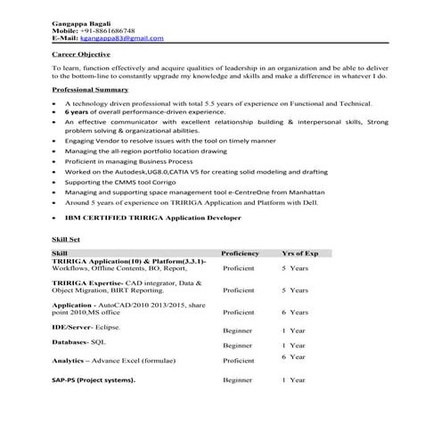 Gangappa_Bagali_TRIRIGA