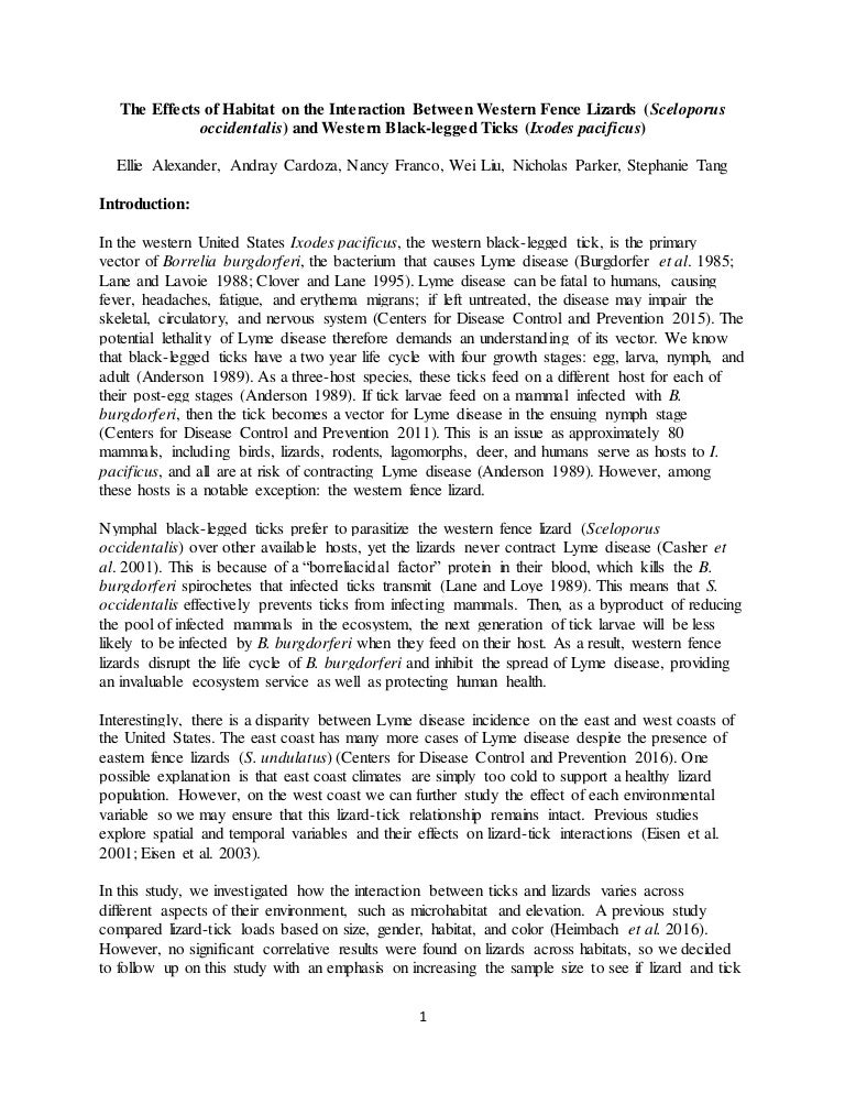 Tourette syndrome by alexander schmit essay picture