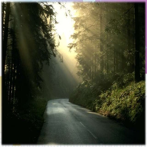 Ectodermal dysplasia