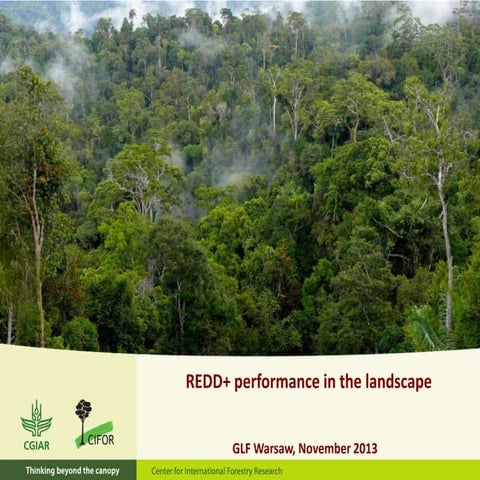 REDD+ performance in the landscape