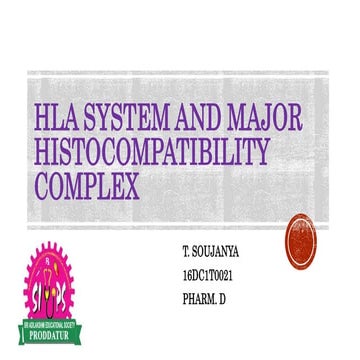 HLA system and major histocompatibility complex