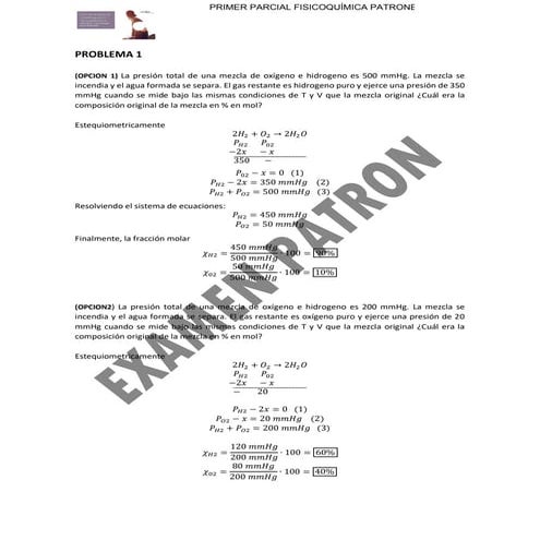 FISICOQUÍMICA PATRONES