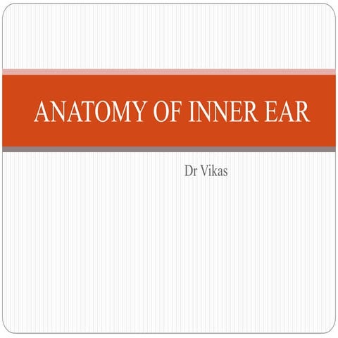  inner ear
