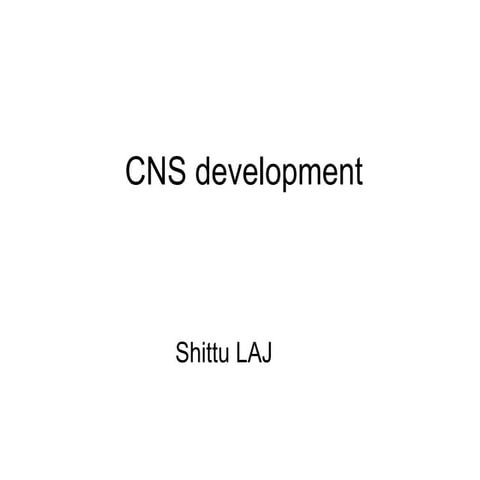 CNS Development