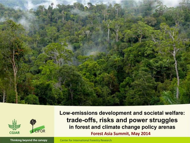 Low-emissions development and societal welfare: trade-offs, risks and power struggles  in forest and climate change policy arenas