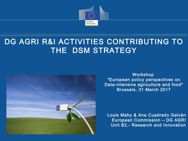 BDE SC2 Workshop 3: DG AGRI R&I activities contributing to the DSM strategy