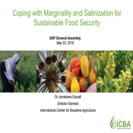 Coping with Marginality and Salinization for Sustainable Food Security