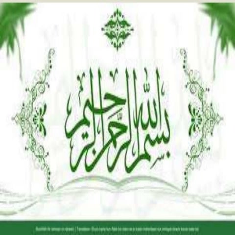 0rder catariodactyla