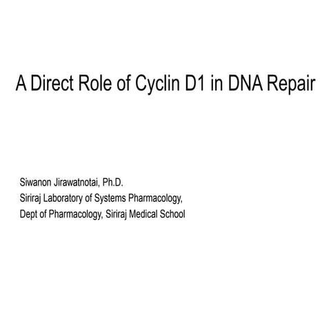 1600 1620 siwanon jirawatnotai