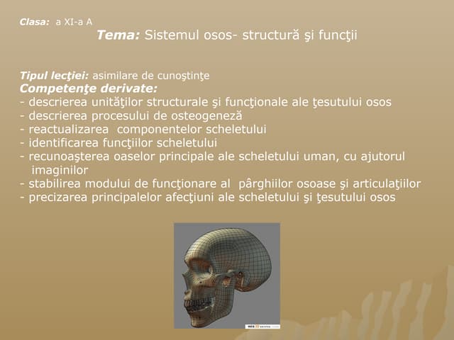 sistemulosos