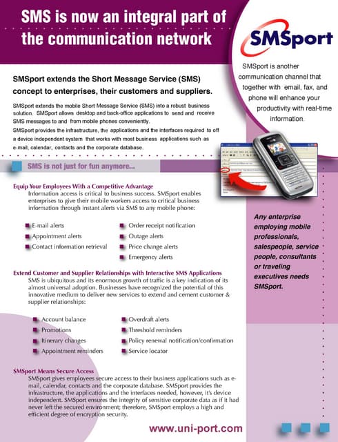 SecurePort Brochure march 2009 | PDF