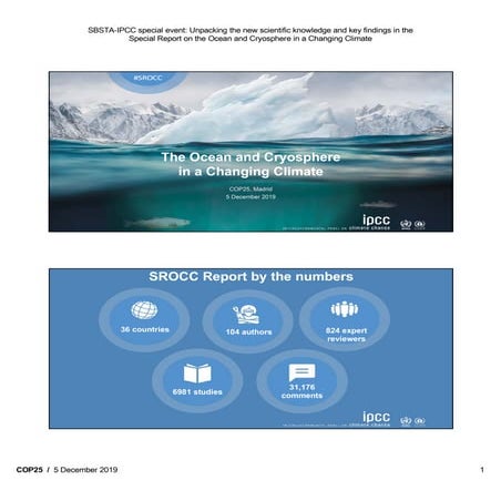 SBSTA/IPCC Special Event on SROCC