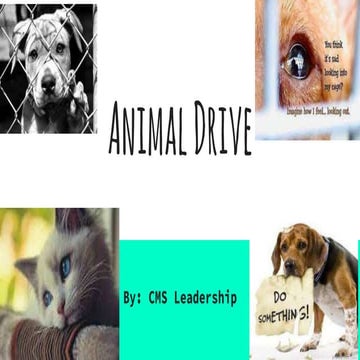 Pet Supply Drive | PPTX