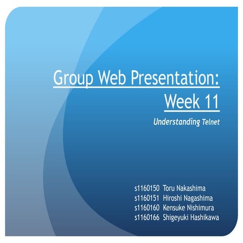 Group Web Presentation: Week 11