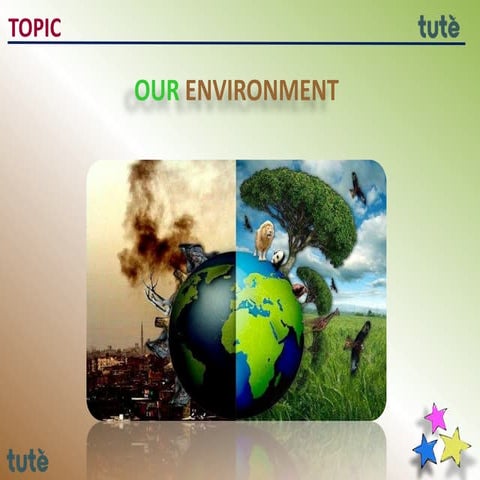10 th - our environment - cbse - biology - iram. (1)