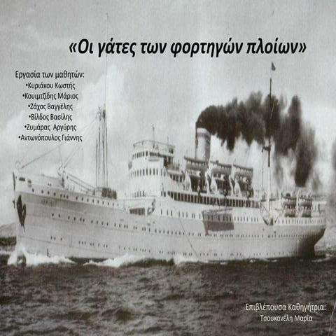 Ομαδική εργασία Β1