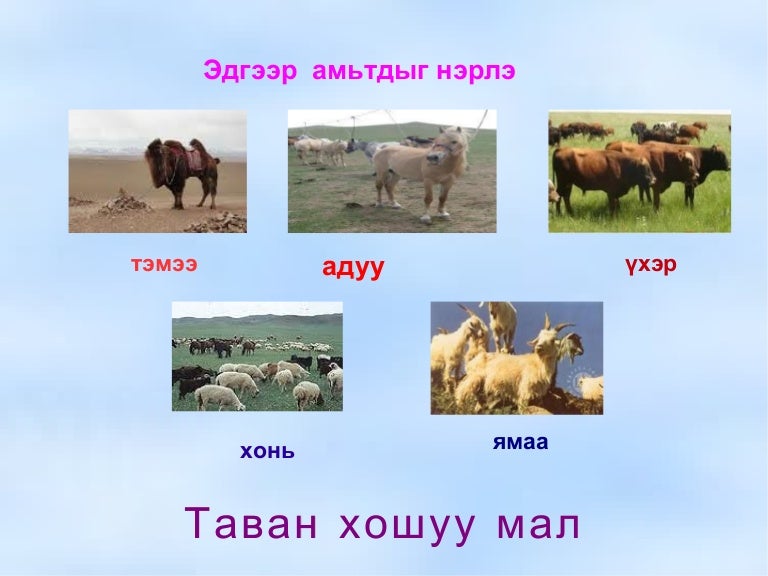 мал 1