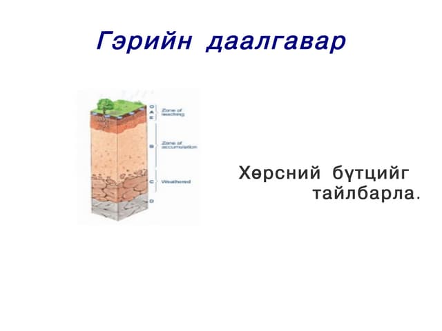 бодисын тоо хэмжээ