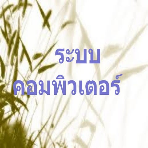ระบบคอมพิวเตอร์1