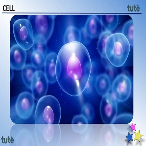 11th - cell structure and function - biology 