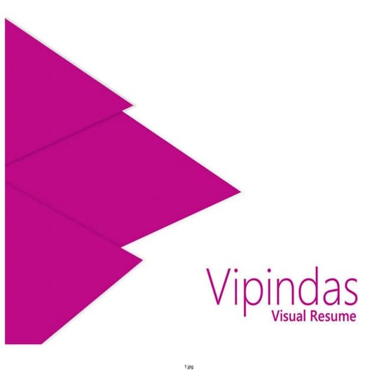 Vipindas - Visual Resume