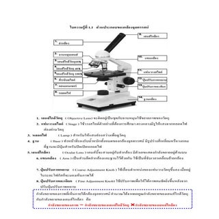 ใบความรู้เรื่องเซลล์ของสิ่งมีชีวิต1
