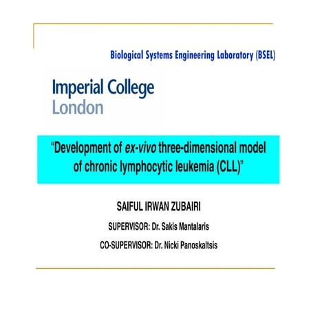 2nd BSEL Group Meeting Presentation