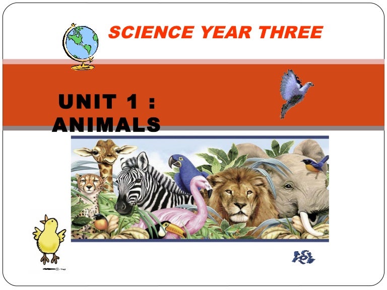 Unit 1 Animals